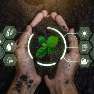 Per enti di ricerca, università e istituti tecnici bando per agricoltura e innovazione