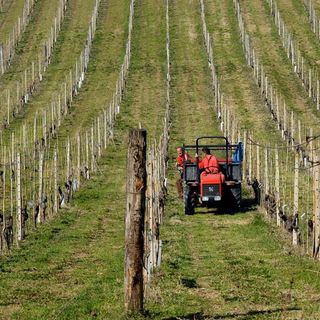 In arrivo il nuovo Bando ISI per il settore Agricolo