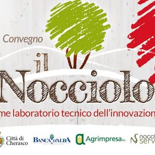 Il 18 maggio il convegno “Il nocciolo come laboratorio tecnico dell’innovazione”