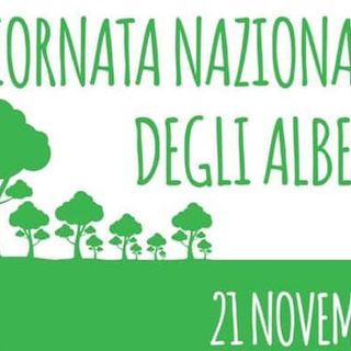 Oggi è la Giornata nazionale degli alberi, iniziative anche nell'Astigiano