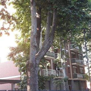 Immagine di archivio