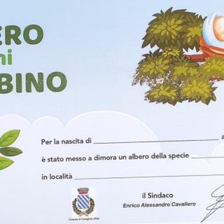 Un albero per ogni nuovo nato: a Costigliole d'Asti lunedì sarà piantato un albero di fronte ai nuovi parcheggi in viale Marconi