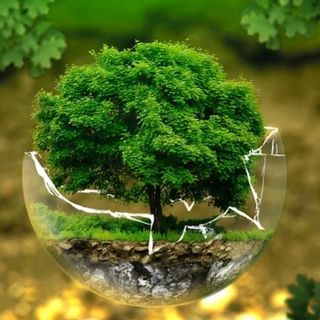 Europa Verde: &quot;Collasso climatico progressivo e drammatico&quot;