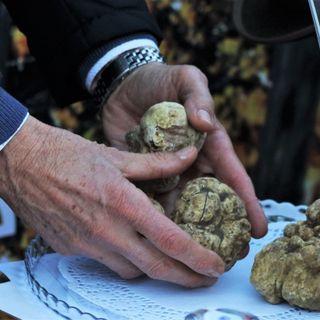 Domenica l'assemblea annuale dei soci A.T.A.M.