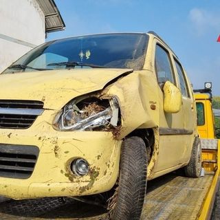 Finisce in un fosso a causa di un cinghiale. A soccorrere una coppia di fidanzati, un vigile del fuoco fuori servizio
