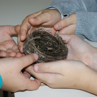 Bambini alla scoperta del nido