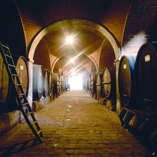 Accordo tra Intesa Sanpaolo e Consorzio Barolo Barbaresco: accesso al credito e progetti di filiera per 500 cantine
