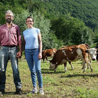 Alcune immagini tratte dalla campagna di comunicazione realizzata dalla Regione Piemonte