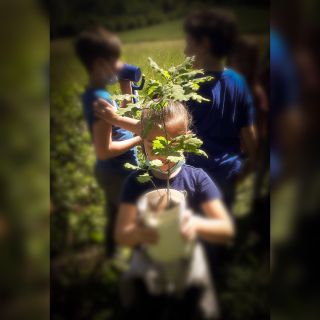 Green Campus estivo a Serravalle d'Asti con Bimbisvegli e Bosco dei Faggi