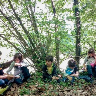 &quot;Bimbisvegli&quot; riceve l'appoggio di alcune associazioni di supporto per alunni con esigenze educative speciali