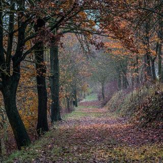 Photo credit 365 Monferrato