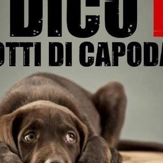 Il Comune di Castelnuovo Belbo vieta i botti di Capodanno su tutto il territorio comunale e nelle frazioni