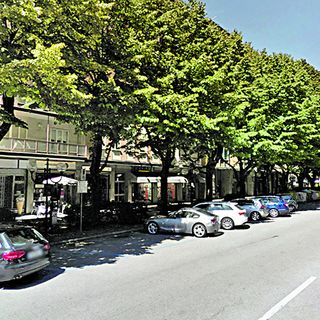 Asti: domani un sopralluogo nei viali alberati per una città migliore