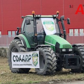Peste suina, anche il CoAARP prende posizione: &quot;Il rischio, da tempo trascurato, purtroppo è diventato realtà&quot;
