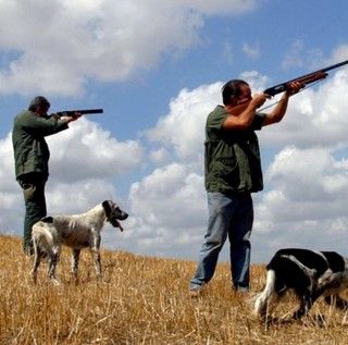 &quot;No all’apertura alla caccia a 15 nuove specie”: l'appello di Legambiente Piemonte e Valle d'Aosta