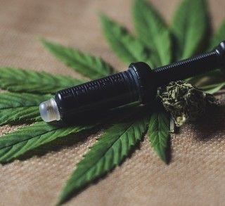 Coltivare la cannabis, l'appello degli addetti ai lavori: &quot;Dateci regole chiare su quel che possiamo fare&quot;