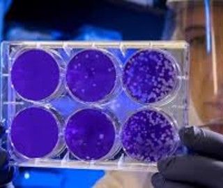 Coronavirus, oggi ad Asti altri 7 decessi. 139 le vittime da inizio emergenza