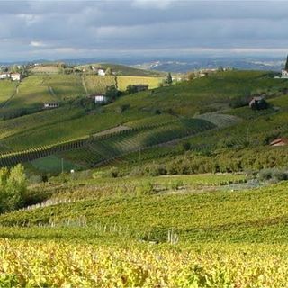 Domani anche Canelli rende omaggio alle vittime del Covid e premia enti e associazioni distintisi durante l'emergenza