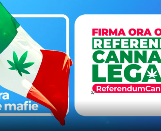 Referendum cannabis, anche nell'Astigiano diversi comuni inadempienti diffidati dai promotori