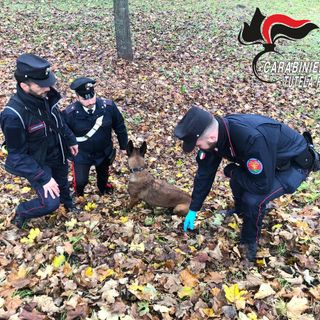 I carabinieri con Kira