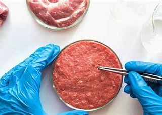Il Parlamento dice no alla carne sintetica, Coldiretti Piemonte applaude