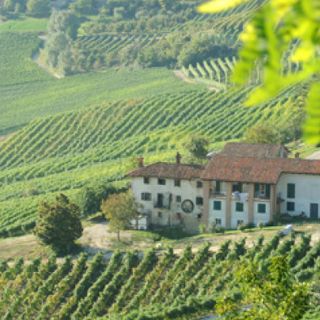 L’Associazione dei Paesaggi Vitivinicoli in finale per il Premio UNESCO-Grecia Melina Mercouri