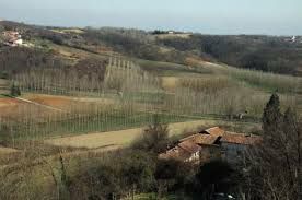 Un Parco Avventura al posto della pista da motocross di Castagnole Monferrato. La proposta di una residente al vaglio del Consiglio Comunale