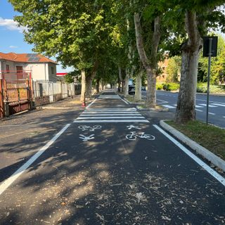 Patrimonio verde: in viale Pilone 4 platani da abbattere, 18 da potare