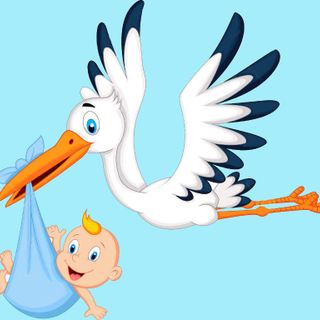 Cicogna dal sindaco di Nizza Monferrato e vicepresidente della Provincia, Simone Nosenzo. È nato Filippo