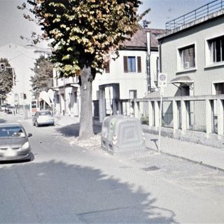 &quot;Quando si interverrà per salvaguardare la salute del platano di corso Pietro Chiesa?&quot; Nuova interrogazione della consigliera Quaglia