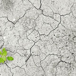 Siccità: il Piemonte sollecita il riconoscimento dello stato di calamità e di emergenza