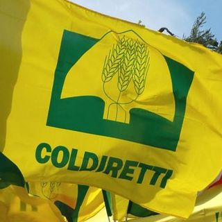 Cambiamenti climatici, misure di contenimento e contrasto ai danni. Il punto di Coldiretti Asti