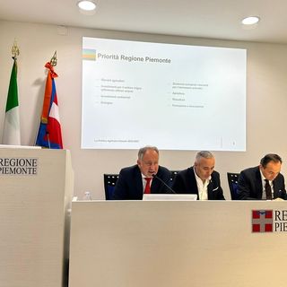 L'agricoltura è una questione per giovani: api, riso, l'uso dell'acqua e la cura del &quot;bio&quot;, ecco cosa promette il futuro