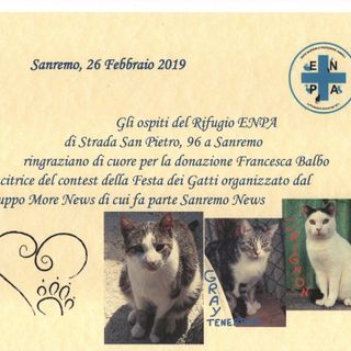 L'Enpa di Sanremo riceve il premio del gruppo Morenews dedicato ai gatti