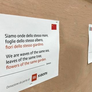 Viviamo in un posto bellissimo:  fiori dello stesso giardino