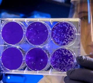 Tamponi, tracciamento e hot-spot: il Piemonte si prepara a un 'autunno caldo'