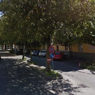 In programma alcune chiusure al traffico ad Asti per potature di alberi in corso Cavallotti