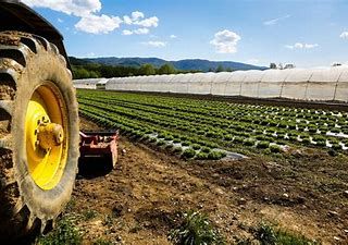 Il Governo approva il piano 'anticrisi' di Coldiretti