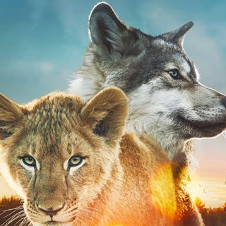 Al cinema Lumière di Asti, dal 21 gennaio, &quot;Il lupo e il leone&quot;