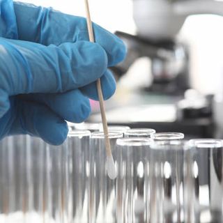In Piemonte nuovi contagi covid sotto 'quota' 2.000 e ulteriore calo di ricoveri