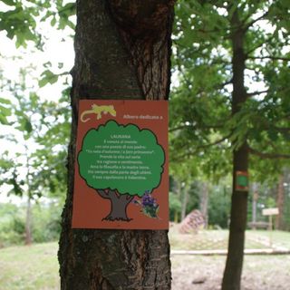 Albero dedicato (foto tratta dal sito internet dell'associazione)