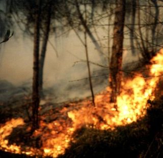 Al via la campagna estiva di Anas per la prevenzione degli incendi