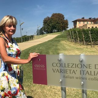 Dora MArchi