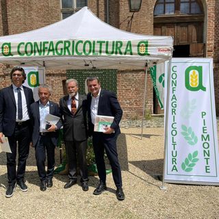 Oggi è la Giornata mondiale delle api, Confagricoltura Piemonte ne ha riflettuto a Stupinigi