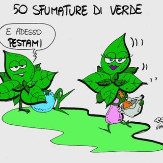 Pesto&amp;Cartoons in Langa Astigiana: cena gourmet sotto le stelle alle Tre Colline in Langa a Bubbio