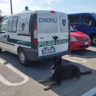 Esercitazione congiunta dei reparti cinofili questa mattina al parcheggio del Borgo