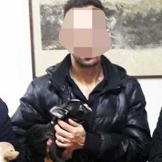 Arrestato animalista residente in provincia di Asti: gli sviluppi