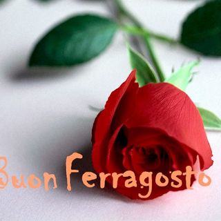 Raccontateci il vostro Ferragosto attraverso le immagini
