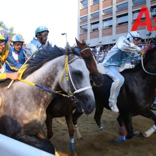 Palio di Asti, confermate le corse di sabato allo stadio. È attesa per domani la decisione sulla corsa di settembre