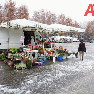 Caldo e mancanza di precipitazioni nevose: &quot;Speriamo nel mese di febbraio, perché rischiamo un'estate molto critica&quot;